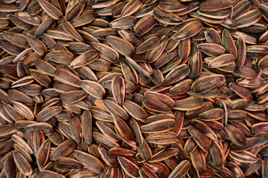 Cumin Seeds