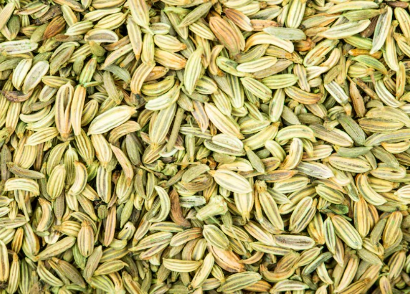 Fennel