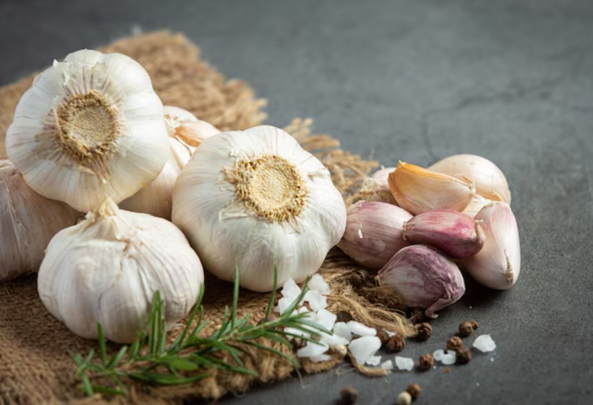 Garlic